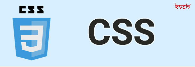 Best CSS Training Institute & Certification in Noida