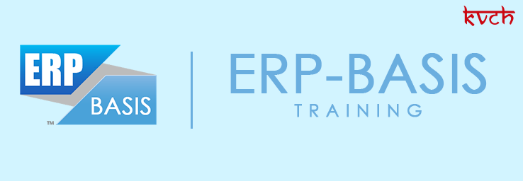 Best ERP BASIS Training Institute & Certification in Noida