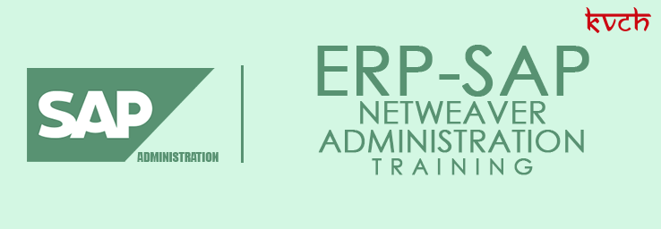 Best ERP NetWeave Administration Training Institute & Certification in Noida