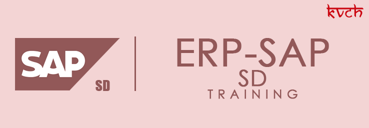 Best ERP SD Training Institute & Certification in Noida