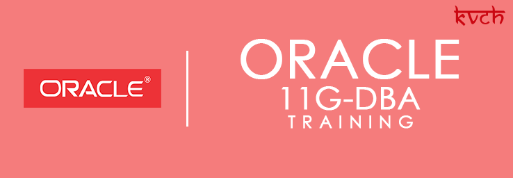 Best Oracle 10g/11g DBA Training Institute & Certification in Noida