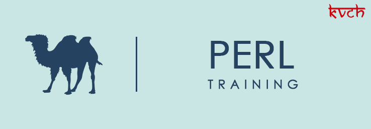 Best Perl Training Institute & Certification in Noida