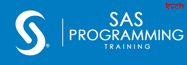 Best SAS Training Institute & Certification in Noida